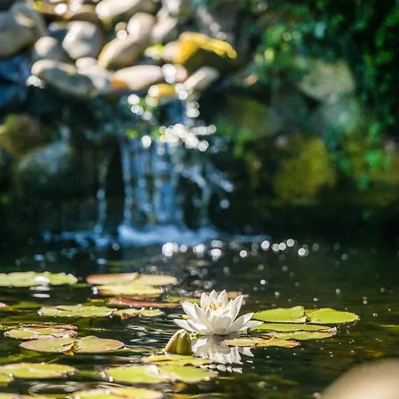 Moselromantik Kessler Meyer