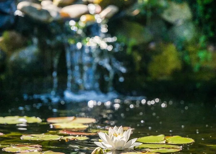 Moselromantik Kessler Meyer