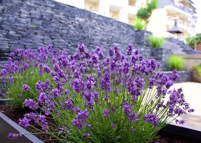 Szálloda Moselromantik Kessler Meyer